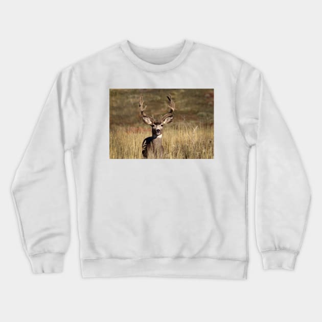 Whitetail Deer Crewneck Sweatshirt by valentina9